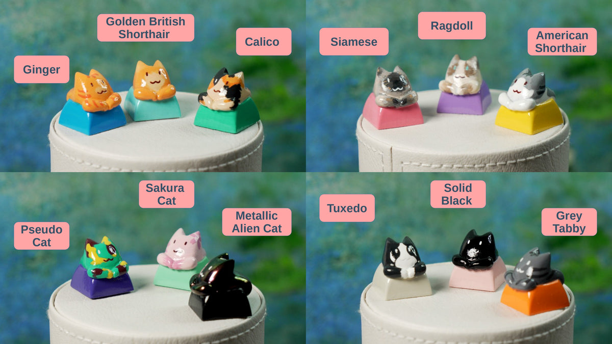 Gym Bro Cat Artisan Keycap | Handmade Muscular Cat